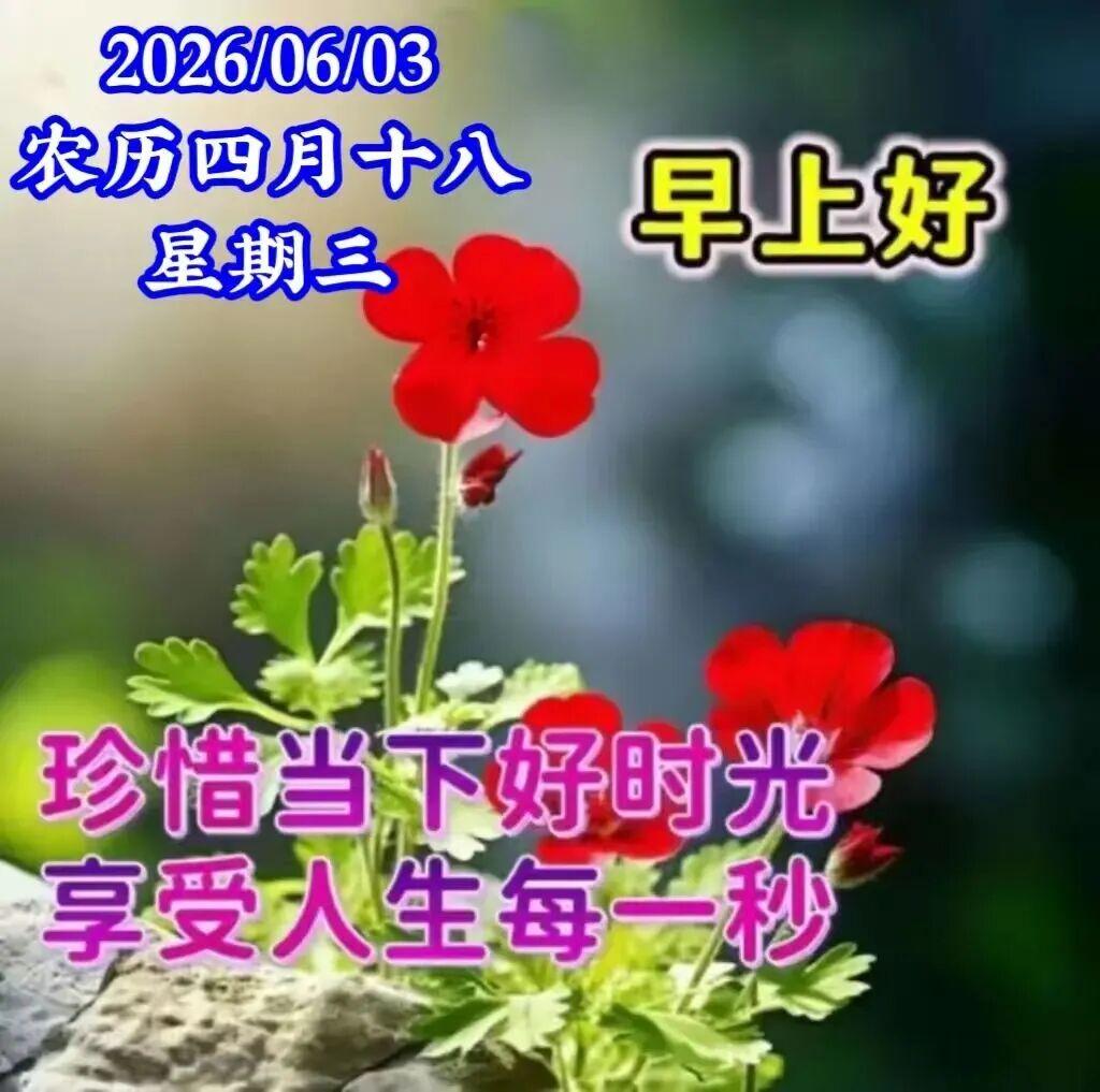 🌹美丽的早晨，灿烂的你，🍎美好的生活在等你！🌟美丽的天气，美好的你，💓美