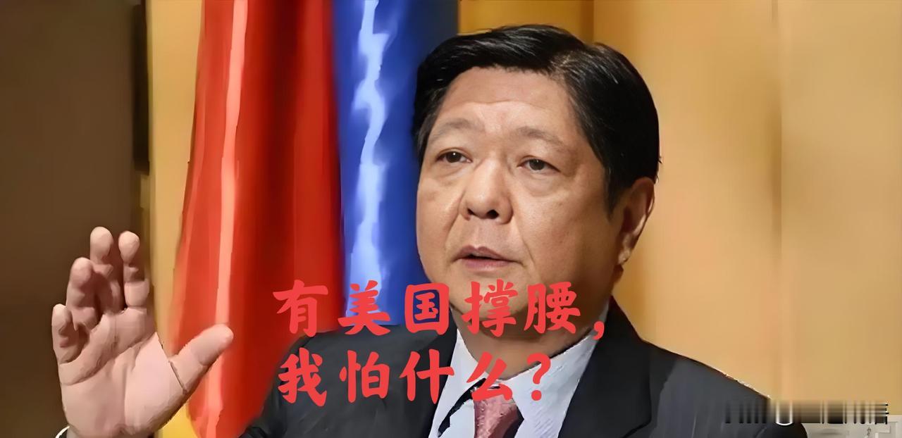 菲律宾政坛大戏开锣！2026年5月13日参议院枪响，核心是前警察总长德拉罗萨遭I
