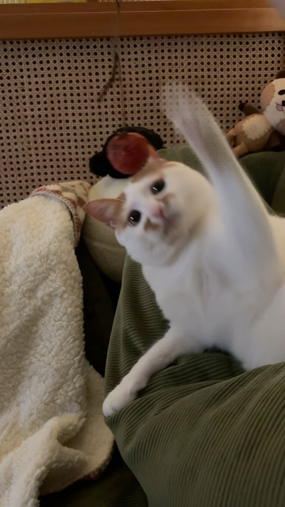 物騒がしく、物騒になる 