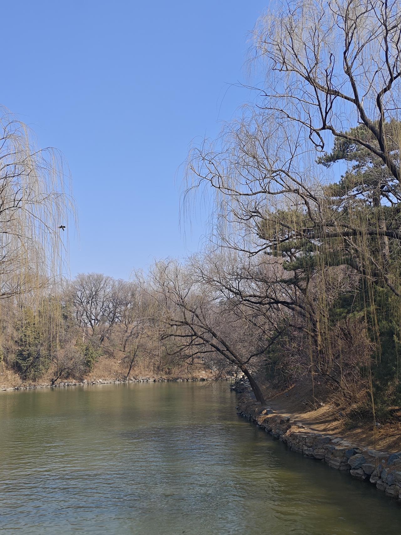 随着年龄增长，生活节奏要慢，心态要稳。平时我们在干活的时候一定要慢，走路也要慢一