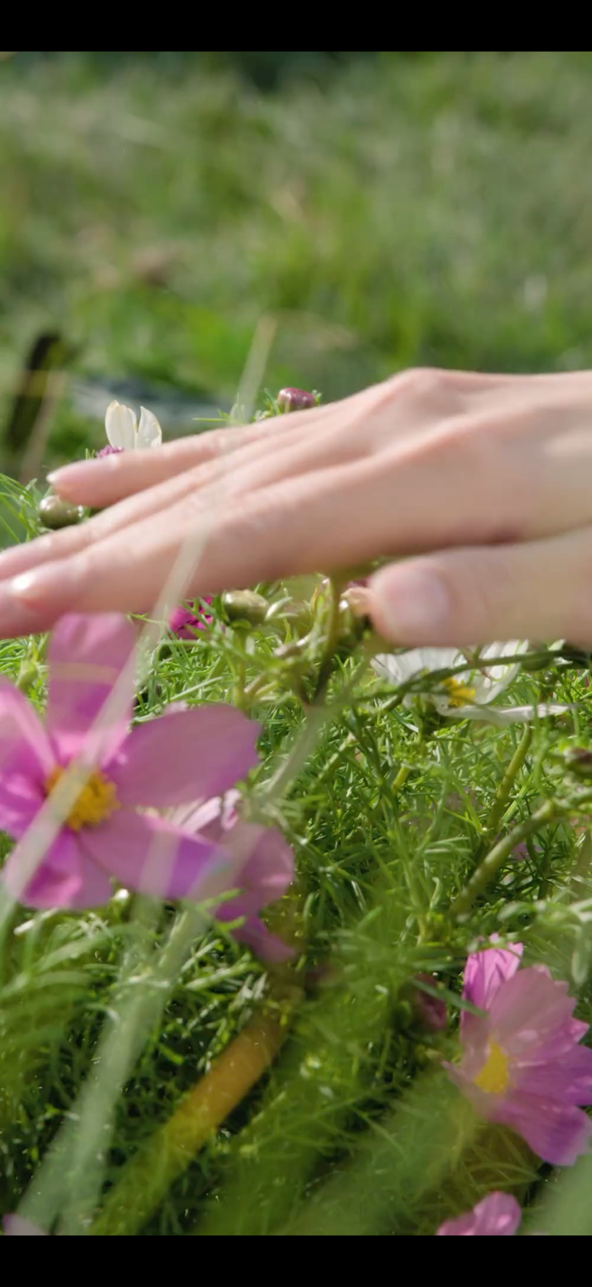 新代言的品牌方真懂我们🐑粉 