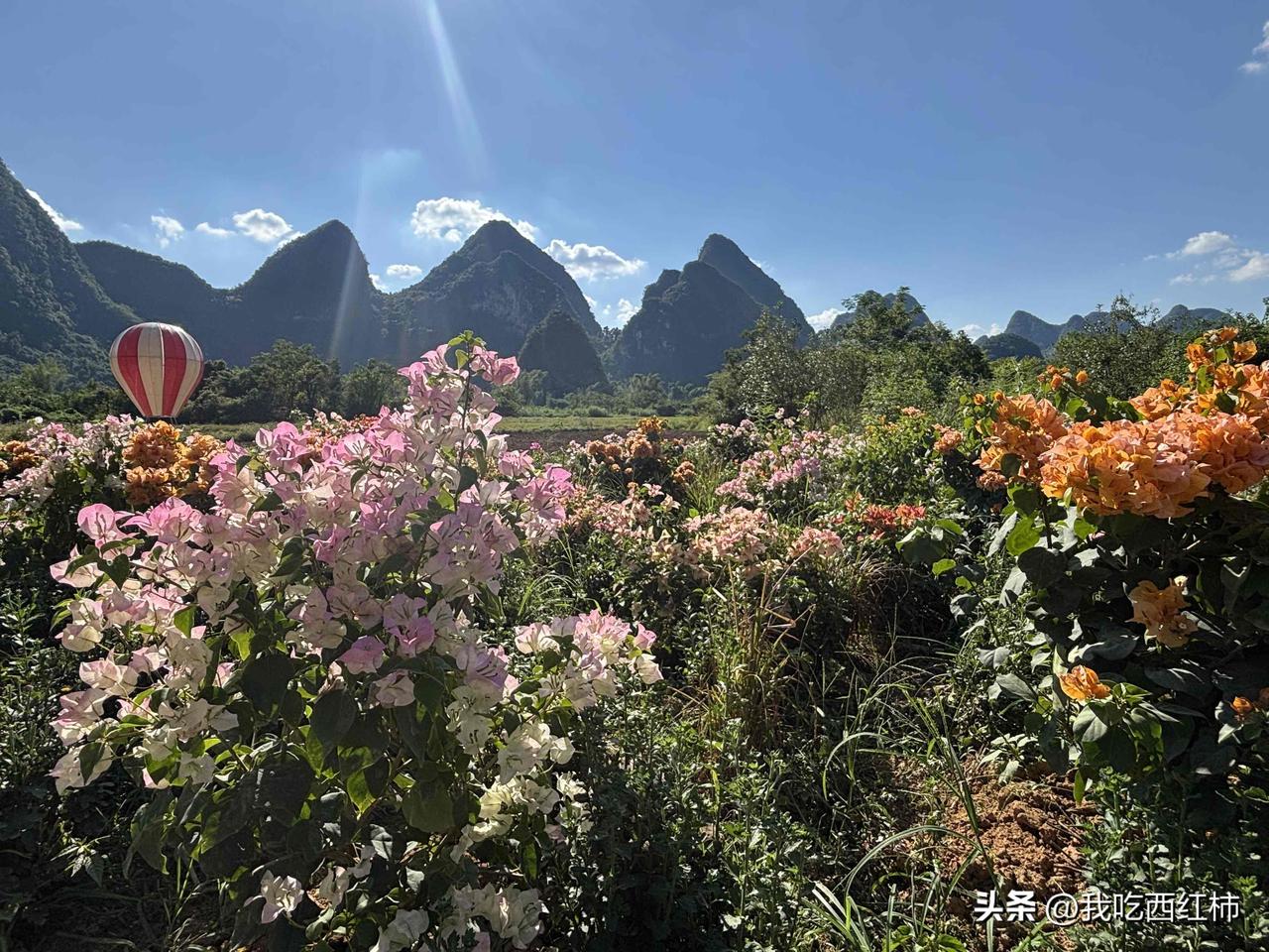 男朋友买房首付被骗走60万
和男朋友在一起三年了，我是211本qs100海硕刚毕