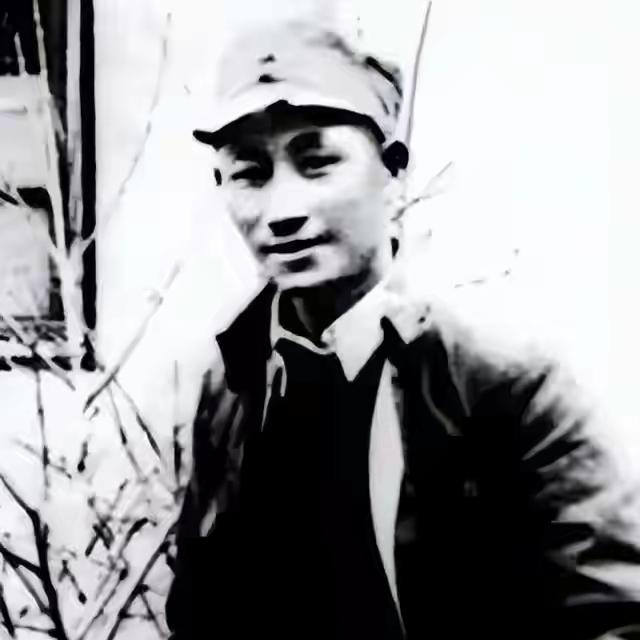 1949年，儿子“牺牲”17年后，警卫员登门：您儿子现在是徐司令！
 
这话像一