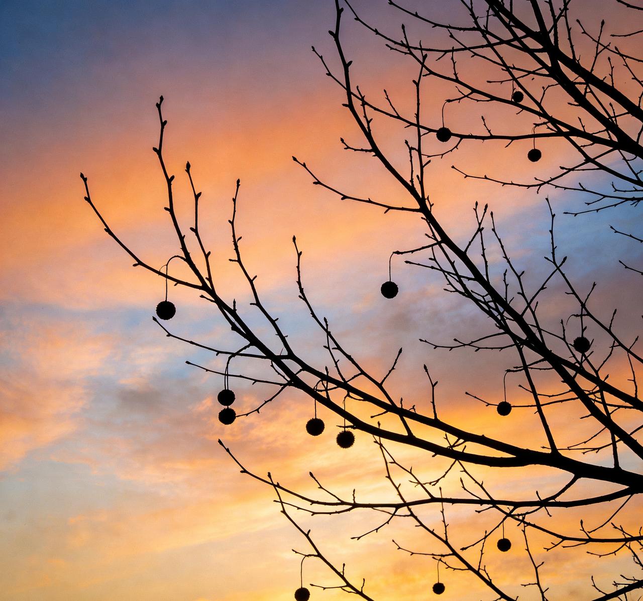 为什么当下好多人住院都不敢告诉家人？

现在住院跟做贼似的，得先关定位、再改朋友