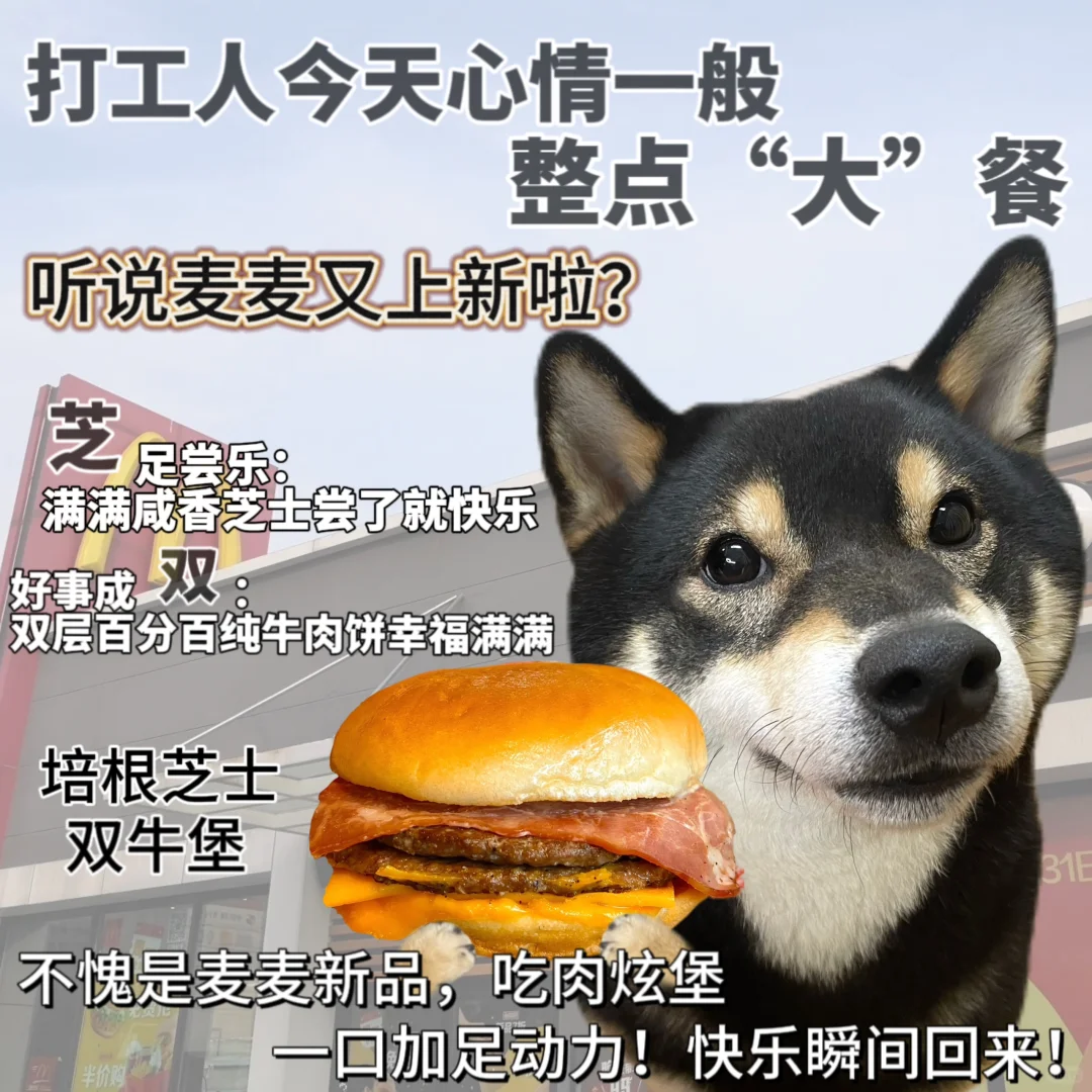 打工人肉肉快乐餐😋😋麦麦你真的好听劝！