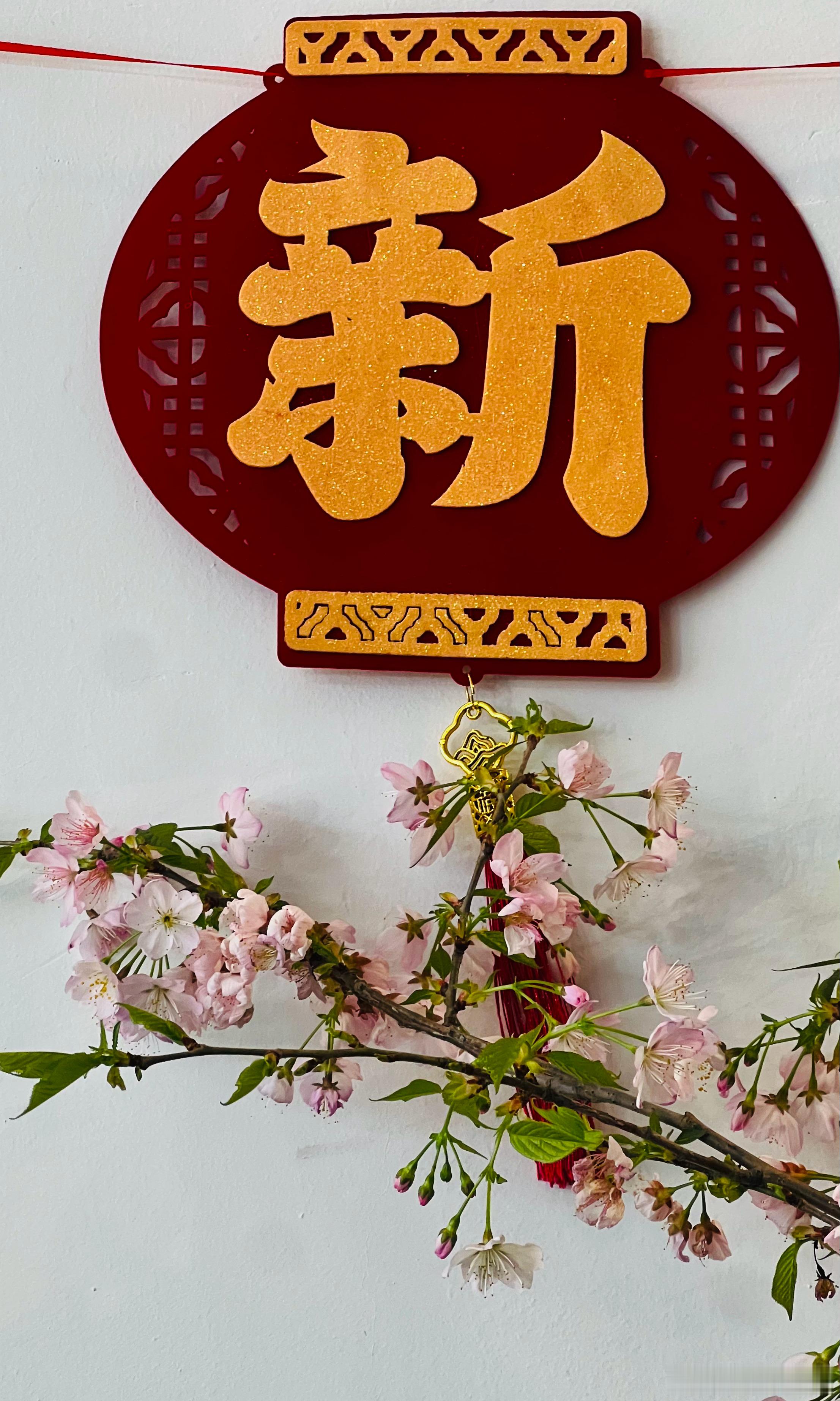 玉渊潭公园 小樱驿站 樱花盛开摄影