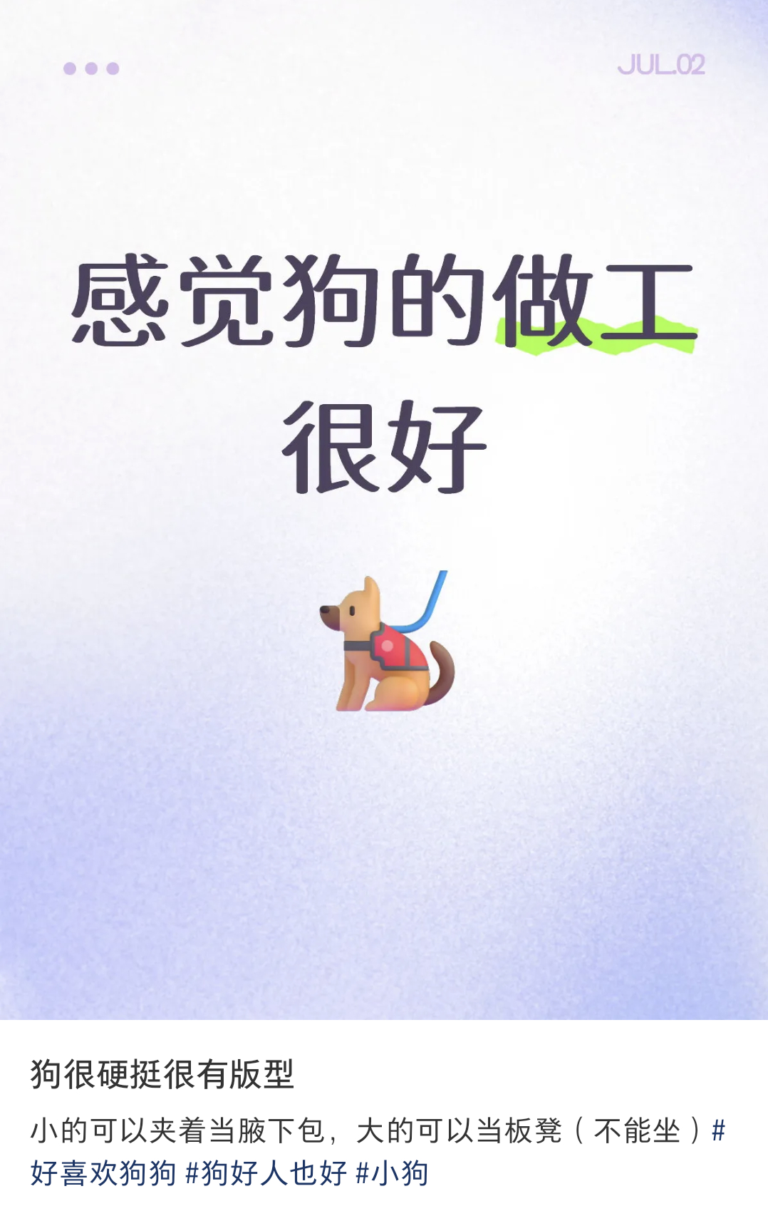 感觉狗的做工很好：很硬挺很有版型