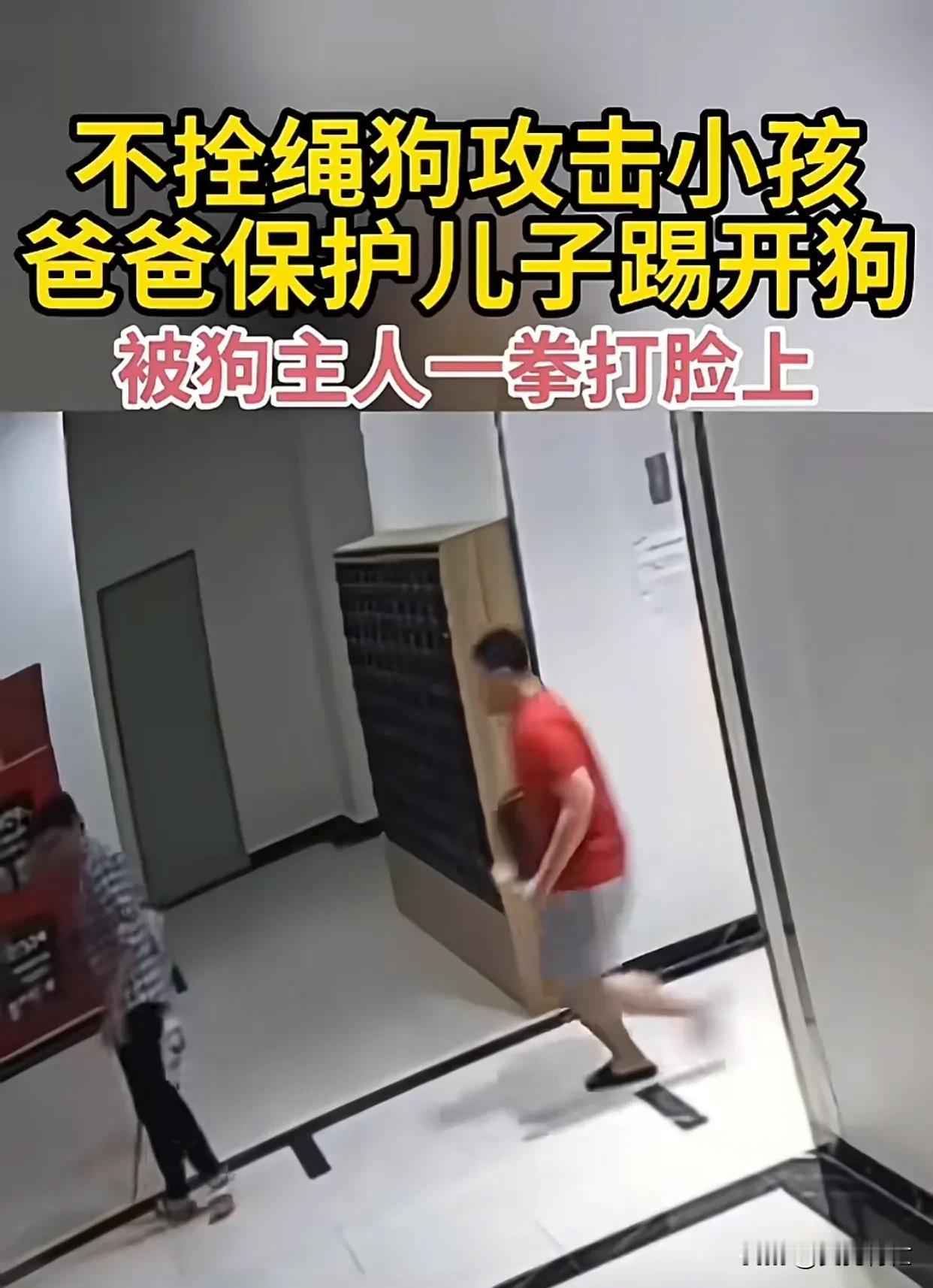 男子养狗不牵绳，小狗扑向男孩，男孩爸爸为了保护孩子，踢开了狗，狗主人过来就踢男孩