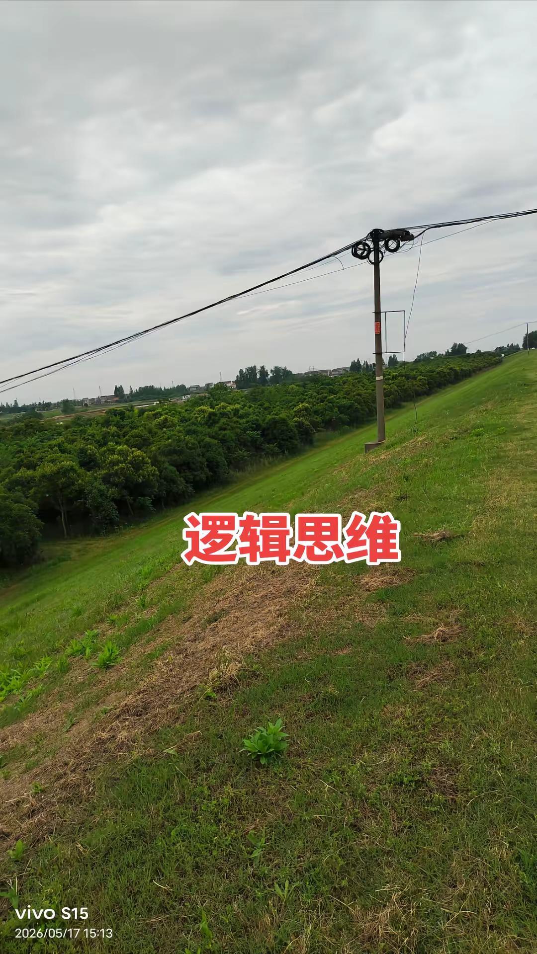 青出于蓝胜于蓝一代更比一代强 国富民强。跟思维逻辑有着密切关系。年轻人正在努力中