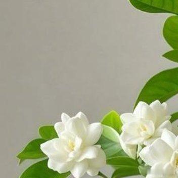 人生，有时候需要沉淀，也需要历练。要有足够的时间去反思，也要有足够的阅历去成长，