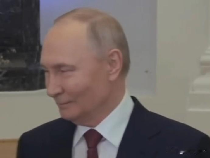 新版和平计划里，乌克兰纯属被推着走的一方！美俄一开始草拟的28点方案，要让乌割地