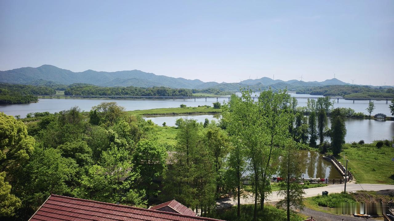 在旅行中你有拍到精彩的风景照片吗永修苍鹭拍摄基地