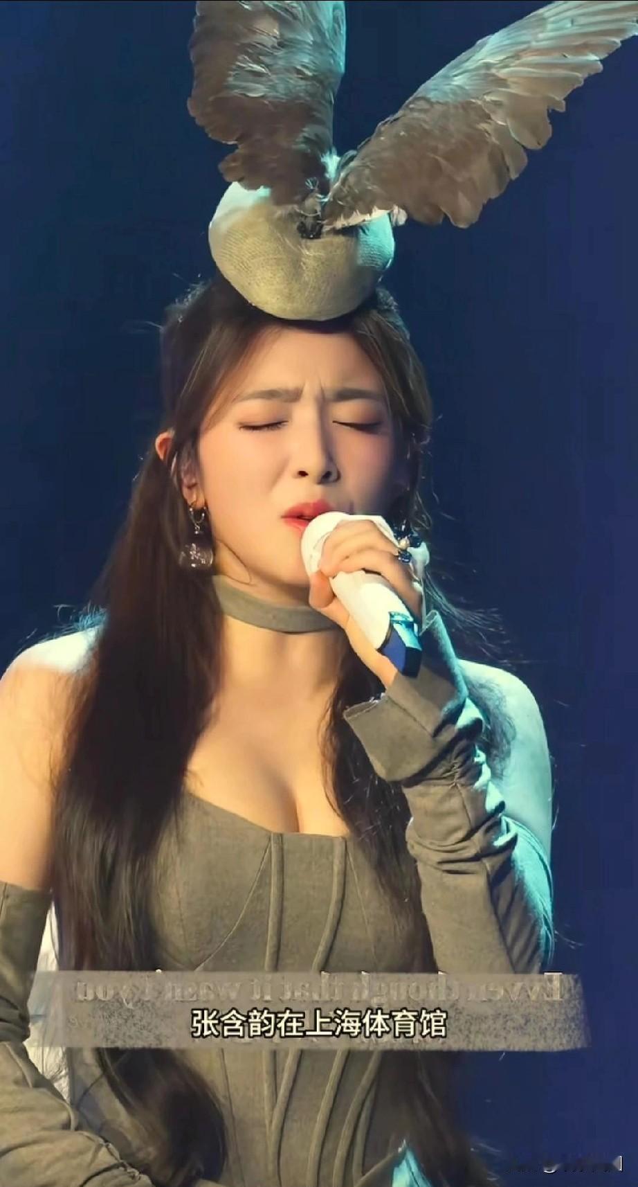 没搞懂张含韵和五竹怎么联系上的