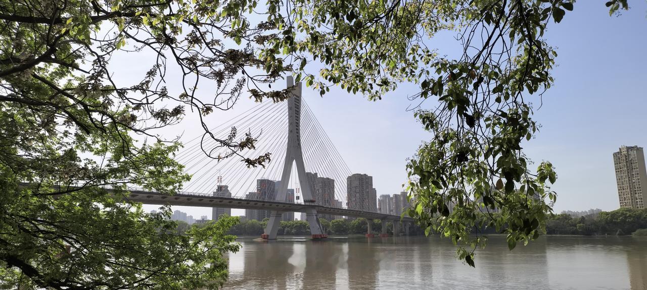 在鹰潭
溜达了新天地步行街
逛了杏园市场
吃了烧鸭、肉菜饼、肉菜粿、灯芯糕。
早