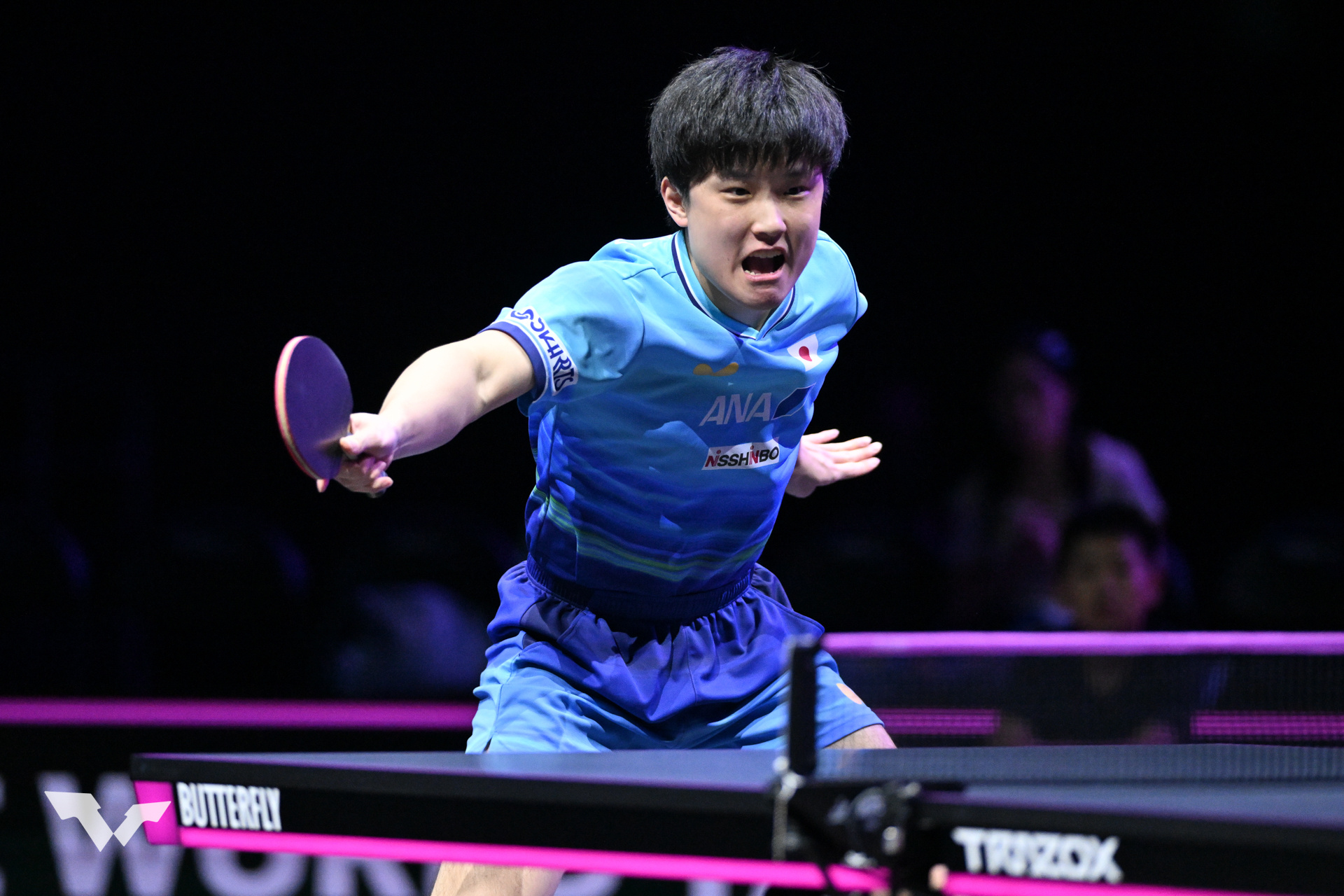 张本智和张本智和wtt横滨冠军赛2026 男单R16图集📷cr.WTT 