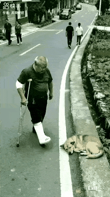 不知道这是真的还是假的，已经走不利索，还不省心，招猫逗狗，狗狗路边睡着，也不招也