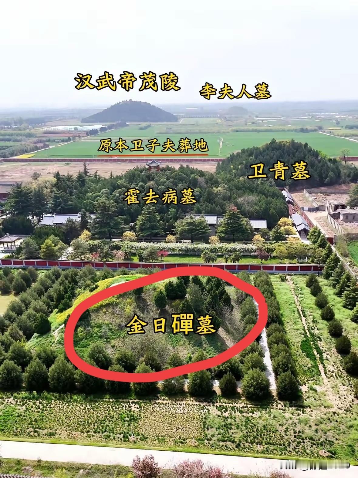 金日磾本为匈奴休屠王太子，被俘后于汉宫养马，凭借恭谨忠诚，深受汉武帝信赖。
莽何
