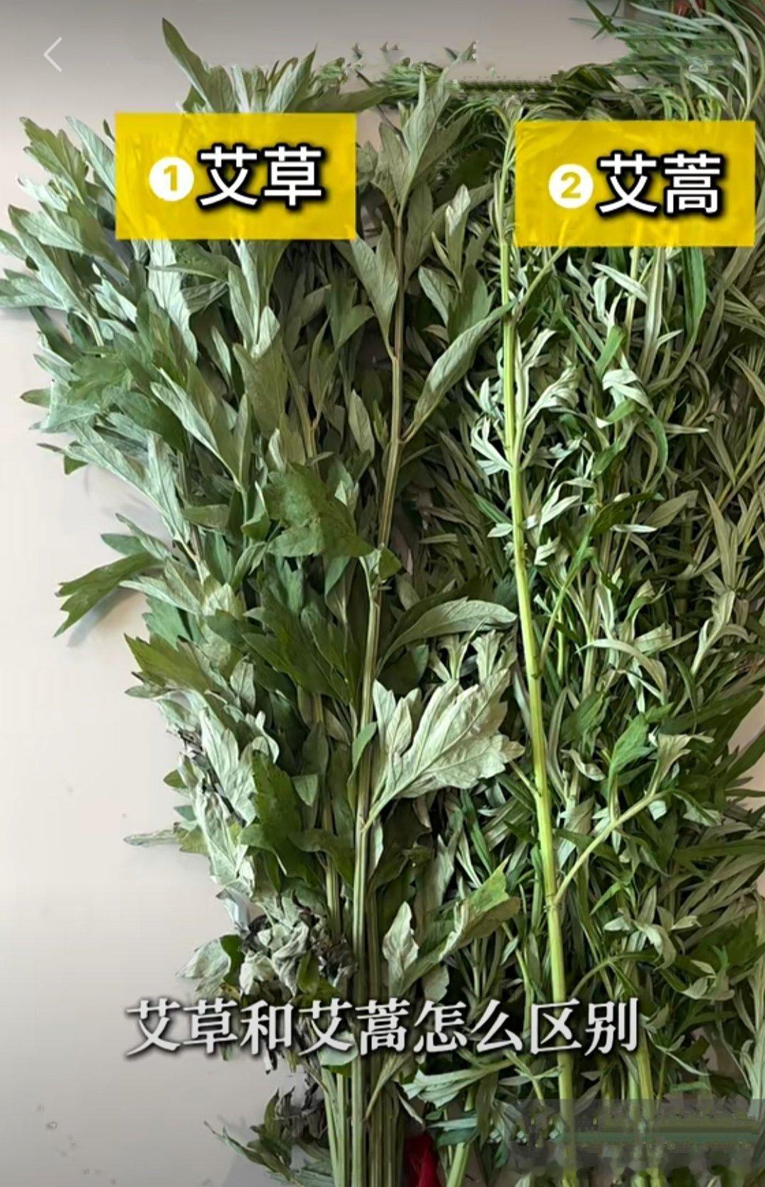 今天是端午节，香粽裹着满满的祝福，艾草香氤氲了整个屋子，南方河道中，龙舟竞渡，热