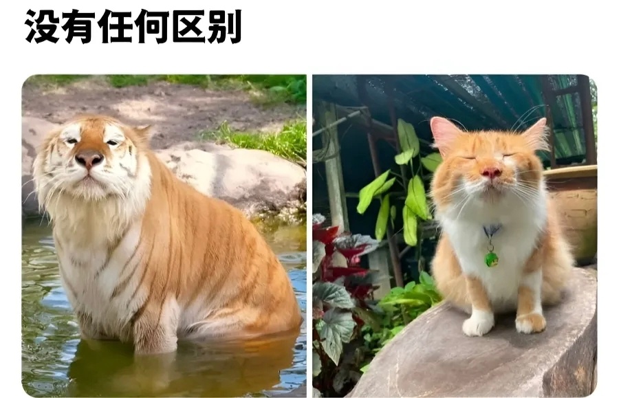 憨憨的 ​​​