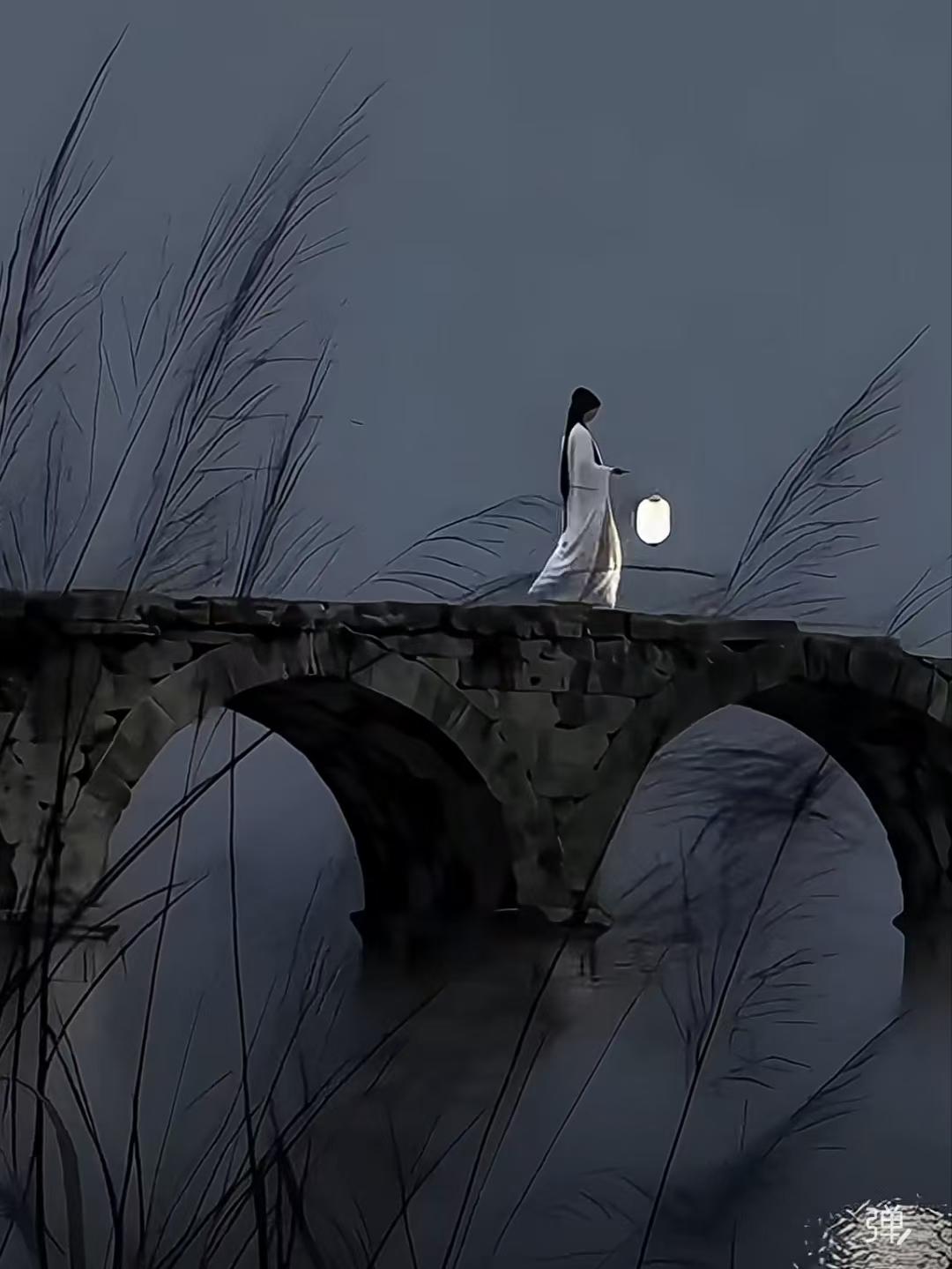 殿前欢·夜行
踏孤桥，
月华随影伴行遥，
霜径灯残风料峭。
雁唳云霄，
寒光碧水