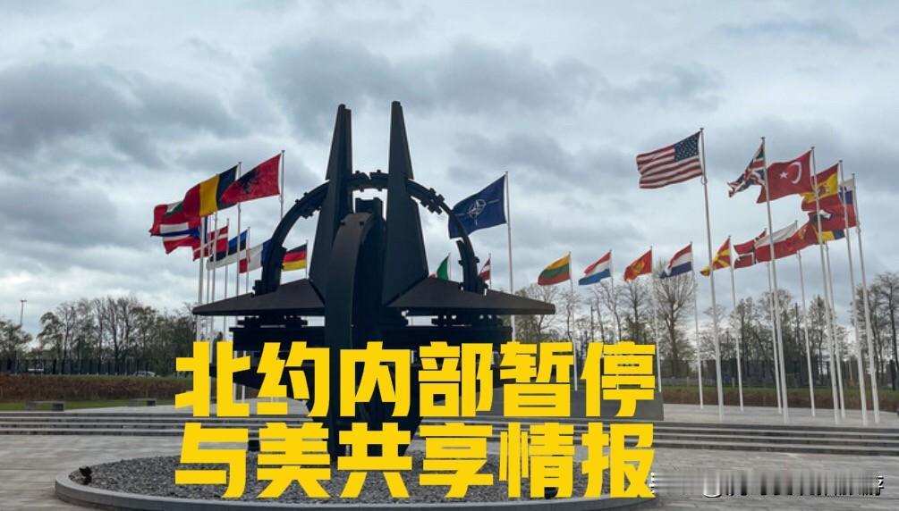 北约内部暂停与美国分享情报，可能是北约与美国分裂的开始

据英国媒体1月19日报