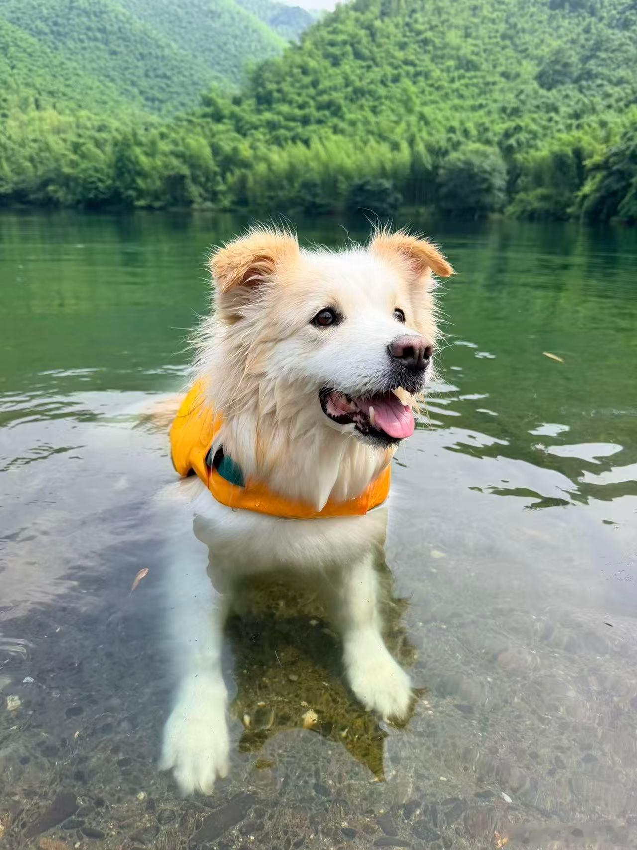 补两张照片 