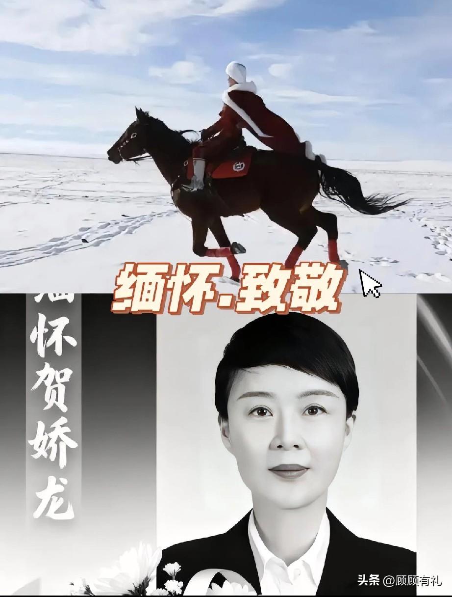 10月3日下午3点多，专门护送贺娇龙主任回老家的车队一共五六辆车，分别是两辆警车