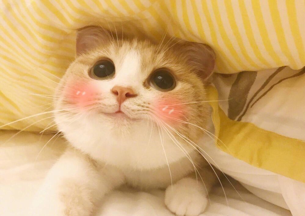 公交报站同步字幕闪烁，商场广播配着手语演示，细节里的体贴比声音更响亮