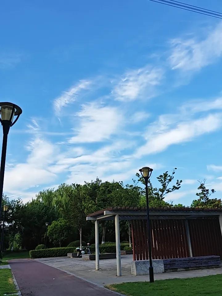 养生最残忍的真相：百病不是缺营养，而是用过头了！

老祖宗一句“生病起于过用”，