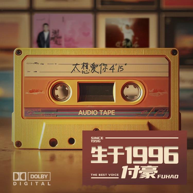 岷江排行榜新歌推荐音乐人付豪2026年全新企划专辑《生于1966》系列，全新翻唱