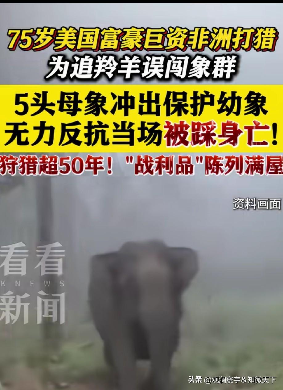 因果循环！善良，不能抵消残杀动物的恶行！