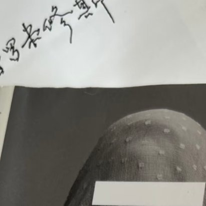 1200《田园交响曲》【法】安德烈·纪德纪德获得诺奖的经典中篇，远不如《人间食粮
