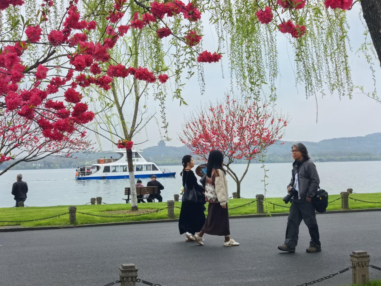 【白堤咏春】
桃红柳绿正当时，
长堤漫卷画与诗。
断桥晓雨忆仙侣，
孤山晚月寄故