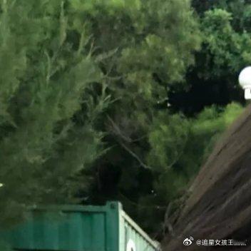 #每日一善[超话]#终有一天，你会跨过静谧无声的洗墨江，离开群山环抱的旧桃源，来
