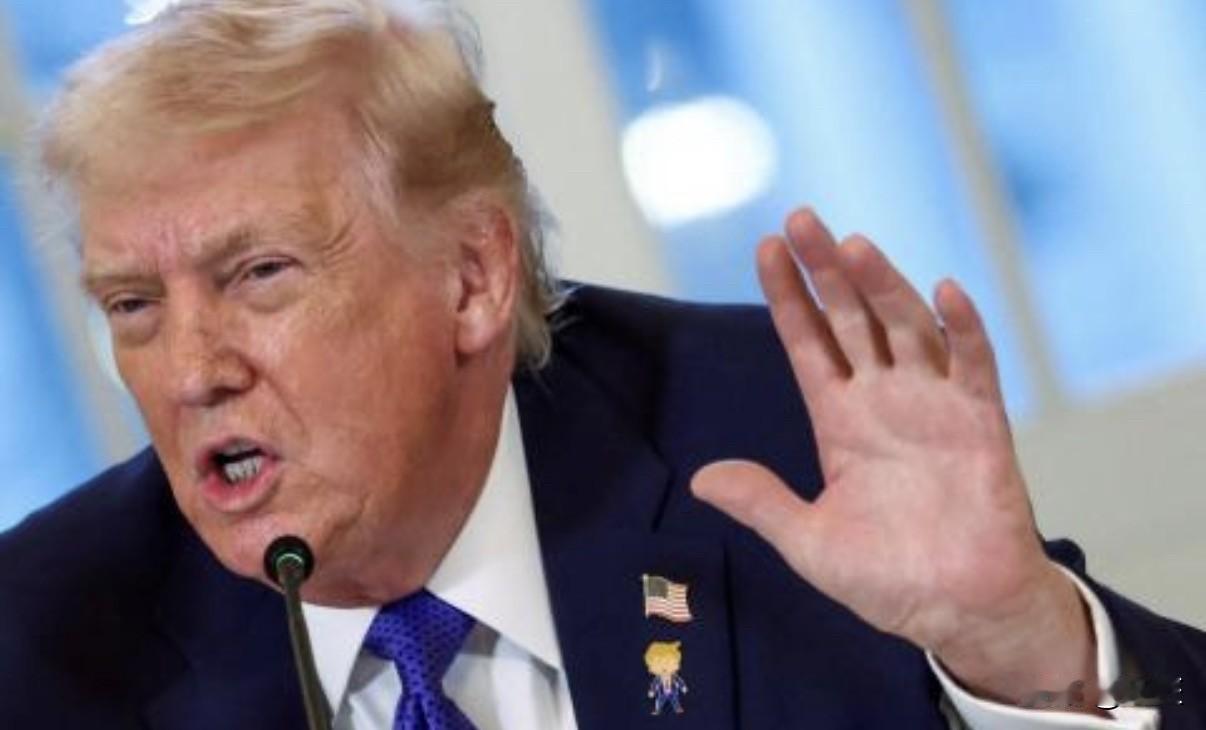 快乐特朗普？总统版摇头娃娃？
特朗普当地时间1月10日在白宫与石油业高管会面时，