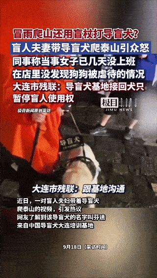 一条，暂停使用权
把一对盲人夫妻，推上热搜
庆幸的是，它终于被接回

全国仅40