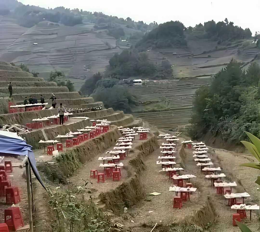 这酒席摆的我竟哑口无言
