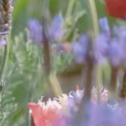 时光荏苒，走过春的繁花，夏的葱茏，秋的金黄，浅冬，像一匹被岁月晕染的绸缎，带着几