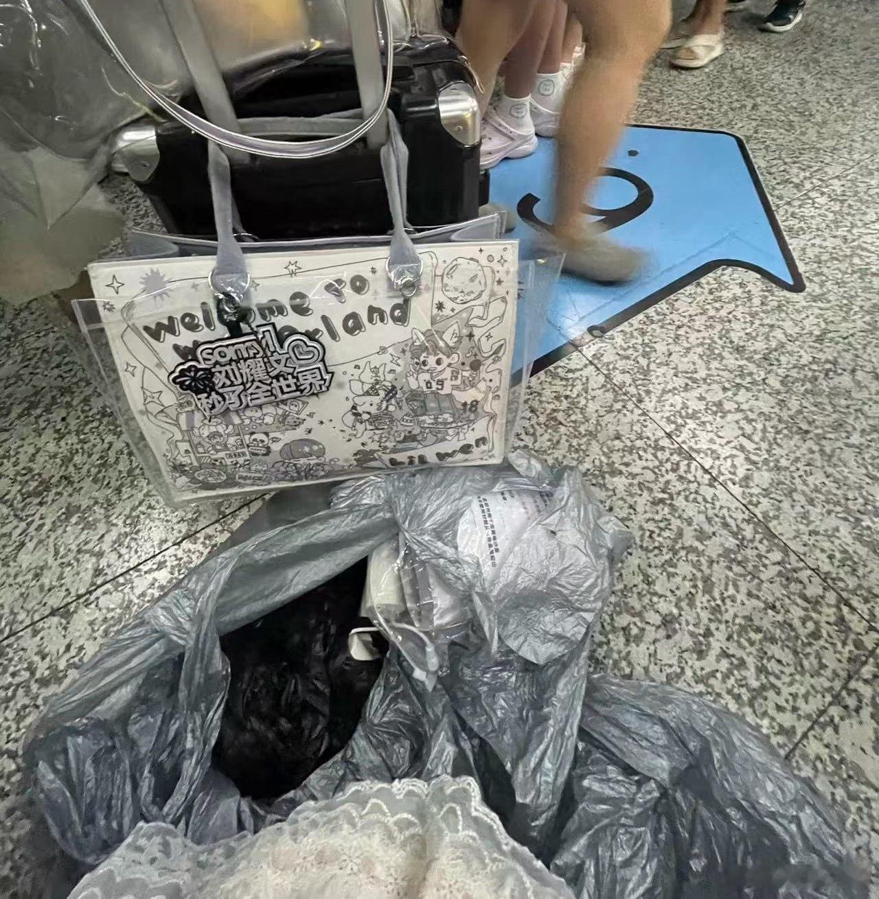 【寻物启事】8.3场丢失一个文后托特包，正前面挂了一个sorry刘耀文秒了全世界