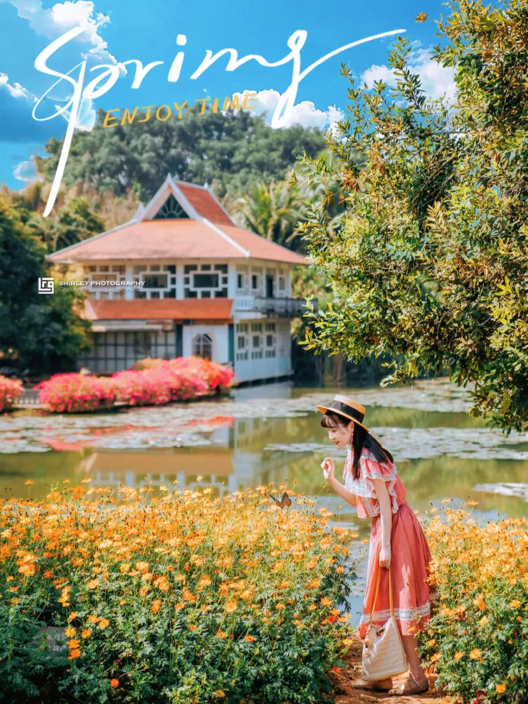 为了拍这18张照片，我专程去了次西双版纳🌿