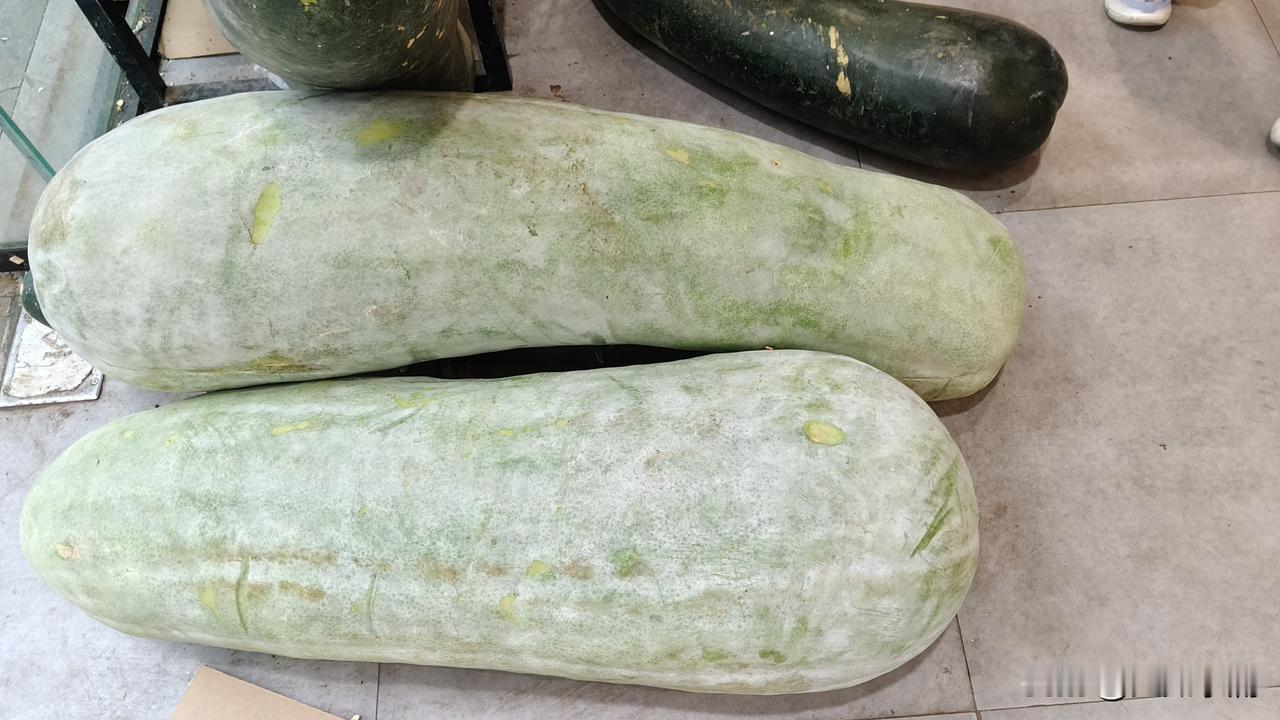 今天又不敢再吃了！再吃又要破红线了！
现在是中午一点，吃了午饭洗了锅碗，一边洗一