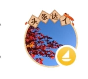 头条这是怎么啦，一个头像标有“头条达人”头衔的“心灵作家王宇翔”每天多次给我发他