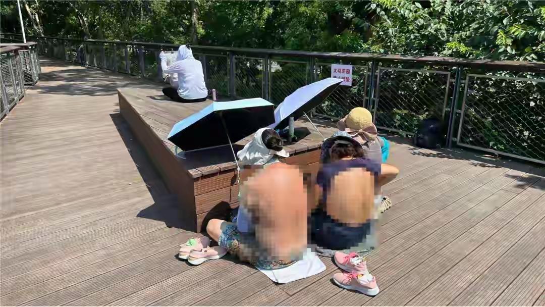 三伏天晒背养生最近热度很高，上海不少公园出现市民扎堆晒背，部分男士直接赤膊站在步