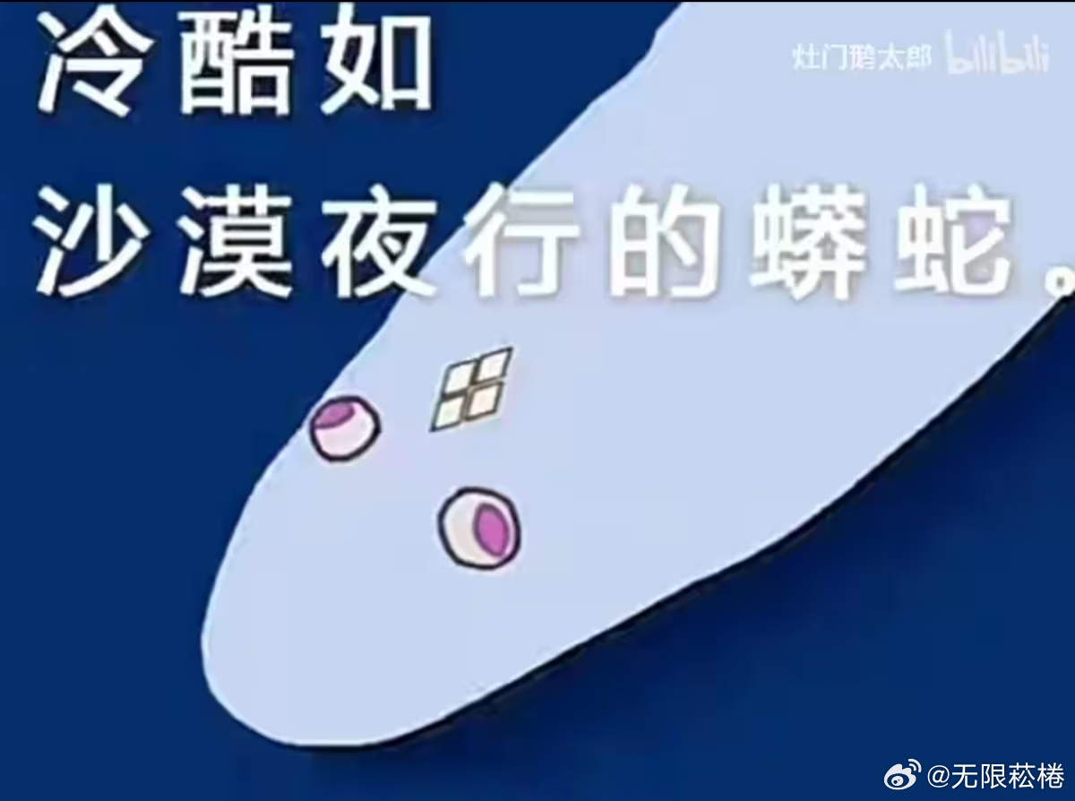 你们用啥扫地机器人能拖地的那种 