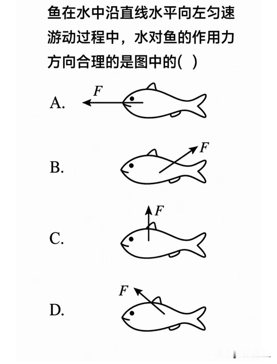 这道物理题目选什么呀！