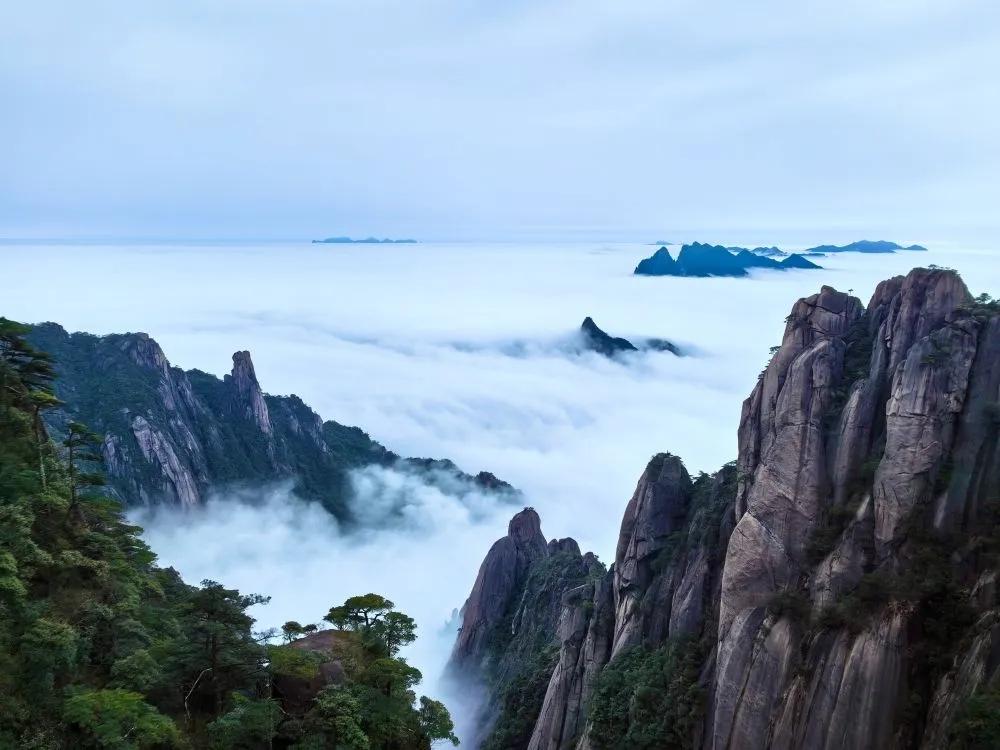 【处理好心情，是好好说话的起点；很多时候，我们不能好好说话，是因为被情绪裹挟着】