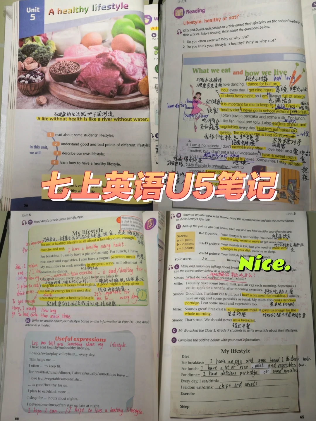 七上英语第五单元笔记来了！