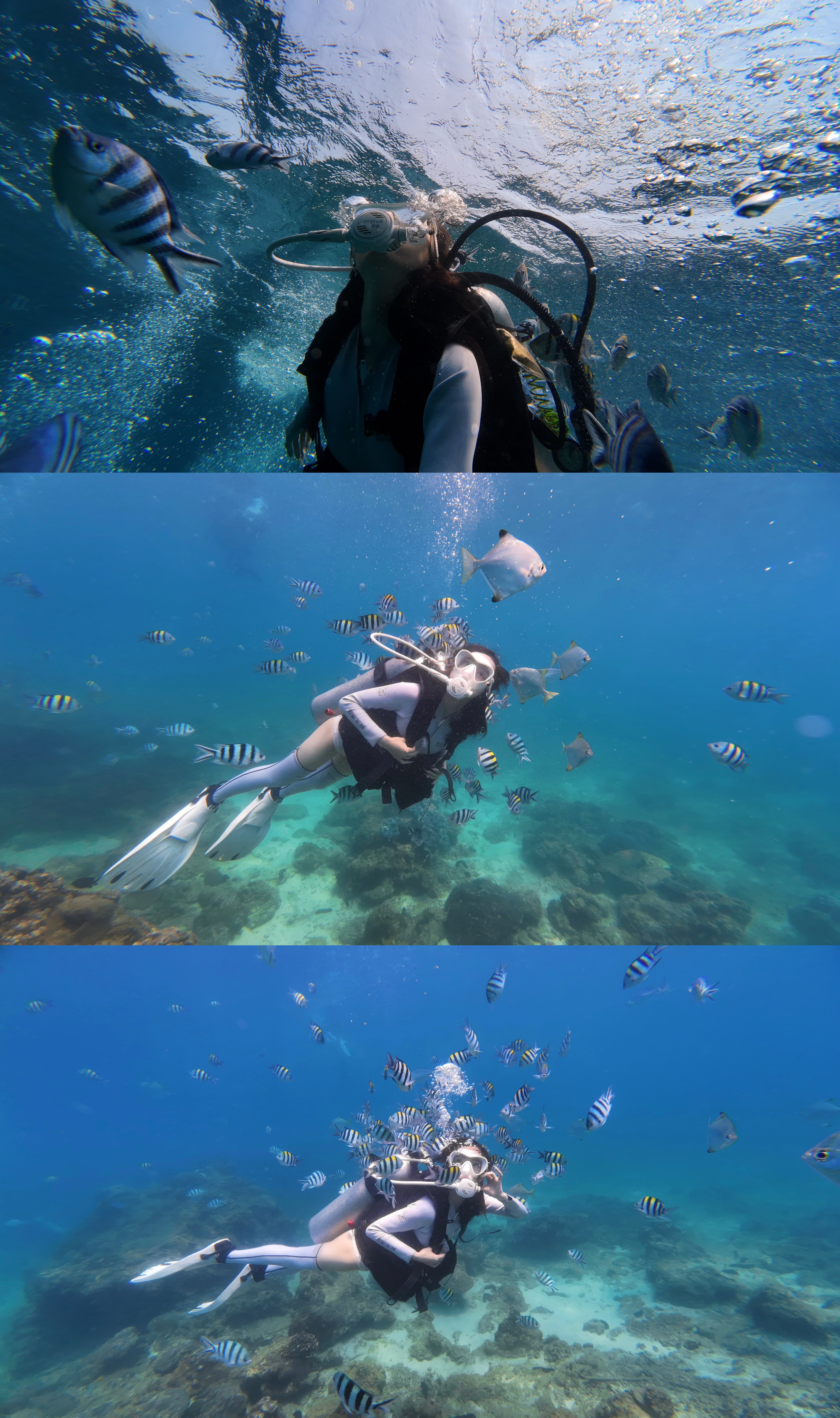 潜水、在蜈支洲岛。 三亚·蜈支洲岛旅游风景区