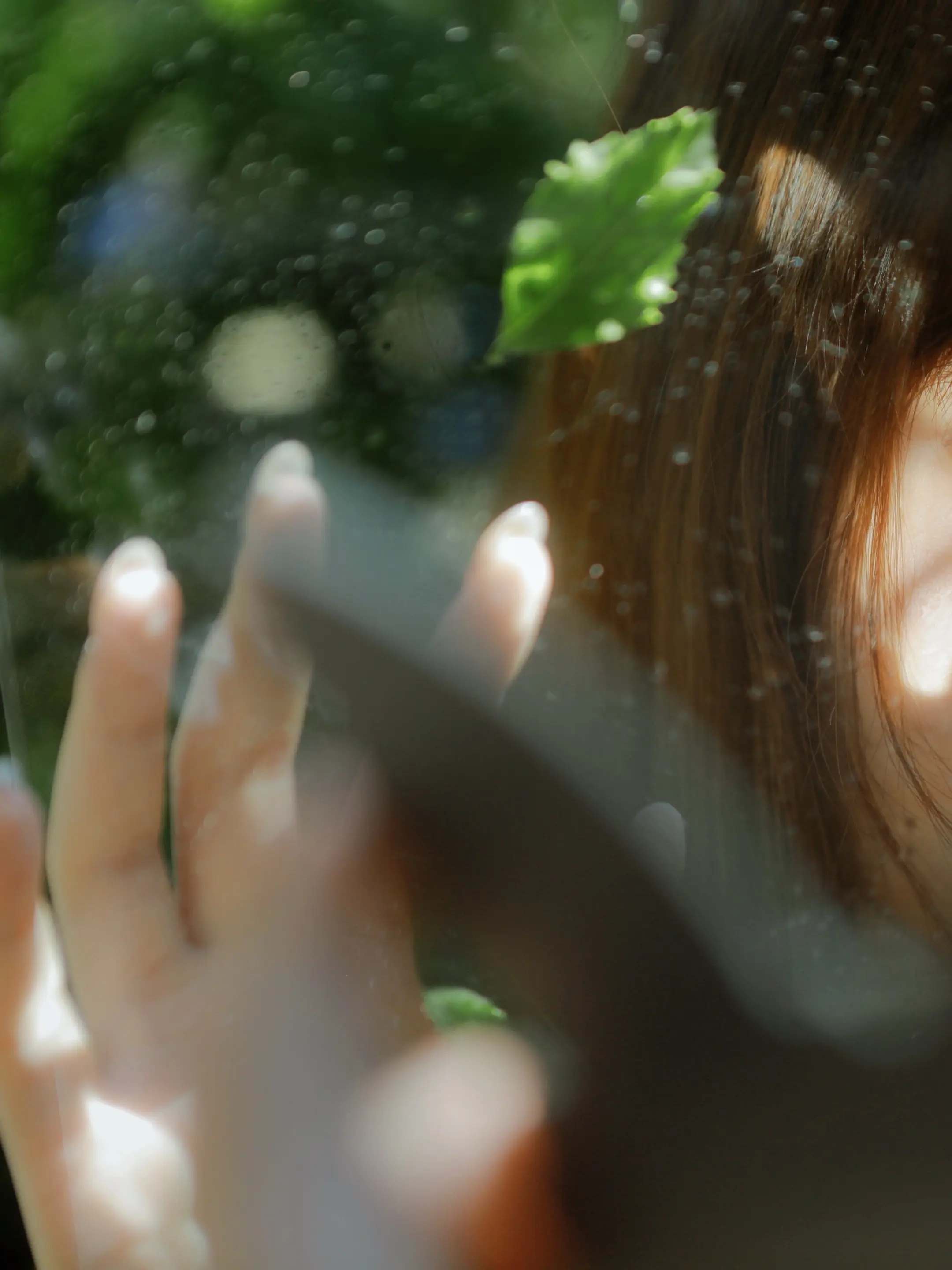 夏日是一场幻觉