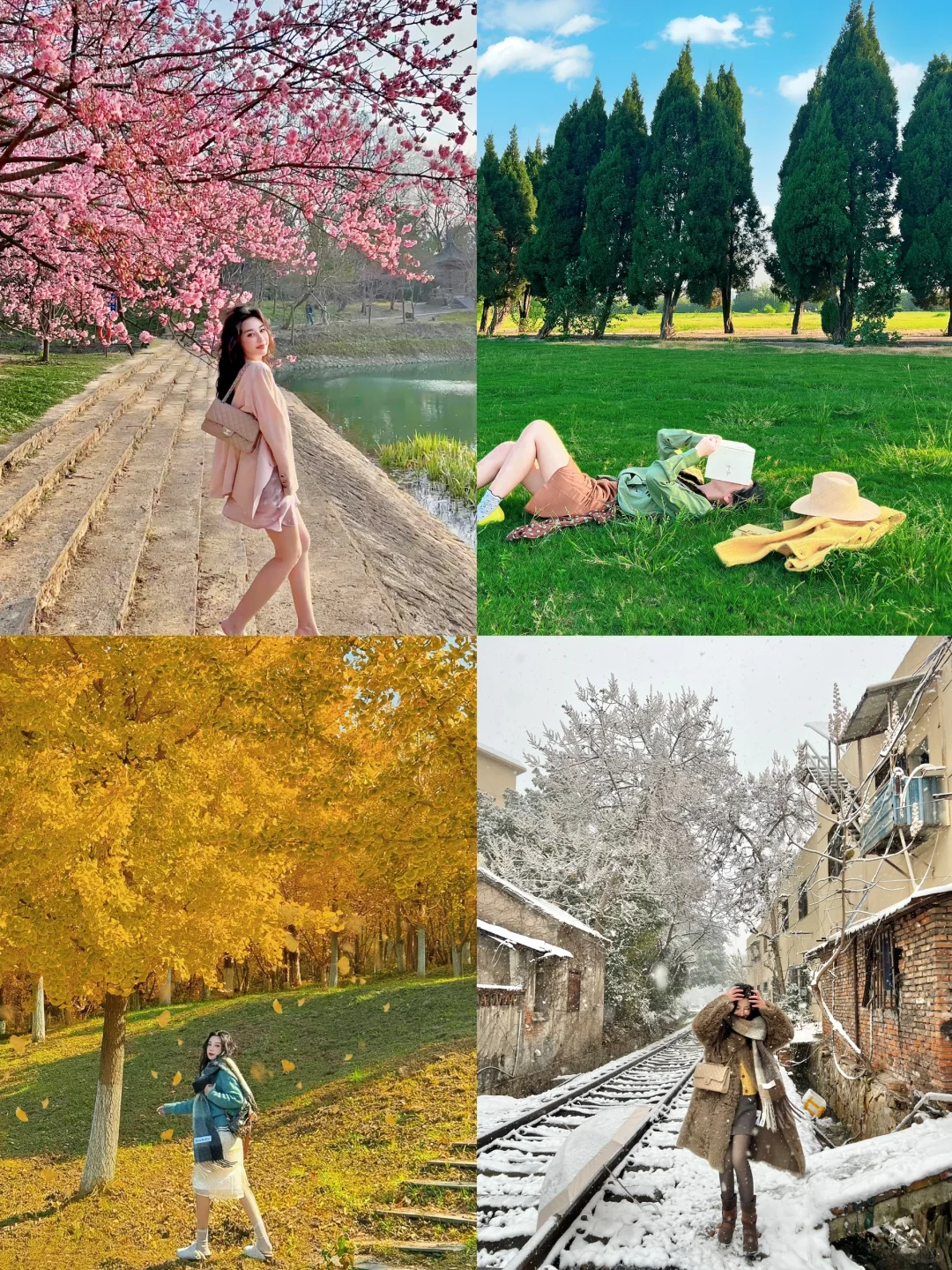 又是一年冬去春来🌸🍀🍂❄️我在南京收集四季